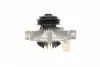 PA5508 Помпа води Citroen Jumper/Peugeot Boxer 2.5D/TD/TDI/4x4 96-02 (B/B) (8 лоп) BUGATTI підбір по vin на Brocar