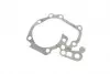 PA7714 Помпа води Renault Kangoo/Megane/Logan/Scenic/Dacia Sandero 1.4/1.6 97- (B/B)(8лоп) BUGATTI підбір по vin на Brocar