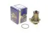 Помпа воды Ford Transit V/VI/VII 2.0/2.3 16V 94-06/Scorpio I/Sierra II 2.0i 85-94 (R/B) (8 лоп.) PA6002