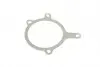PA6004 Помпа воды Ford Escort V/VI/VII 1.6-1.8 16V 92-99//Fiesta III/Orion III 1.4-1.8 90-95 (R/B) (6 лоп) BUGATTI підбір по vin на Brocar