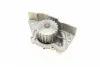 PA5505 Помпа воды Citroen Xantia/Xsara/Peugeot 306/406 1.8i 16V 95-03 (20z) (B/B) (6 лоп) BUGATTI підбір по vin на Brocar
