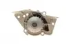 PA5505 Помпа воды Citroen Xantia/Xsara/Peugeot 306/406 1.8i 16V 95-03 (20z) (B/B) (6 лоп) BUGATTI підбір по vin на Brocar