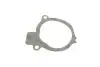 PA0239 Помпа воды Ford Fiesta II/Escort III/IV 1.6D 84-90 (B/B) (9 лоп.) BUGATTI підбір по vin на Brocar