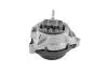 TED64419 PODUSZKA SILNIKA BMW TEDGUM підбір по vin на Brocar