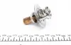 34691K Термостат Renault 19/Clio 1.2/1.4 88-96 MOTORAD підбір по vin на Brocar