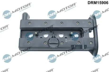 DRM15906 Кришка головки блоку циліндрів ДВЗ DR.MOTOR підбір по vin на Brocar