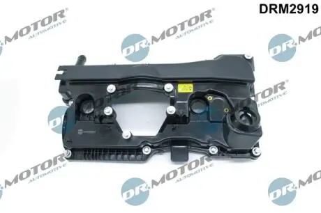 DRM2919 Кришка головки блоку циліндрів ДВЗ DR.MOTOR підбір по vin на Brocar