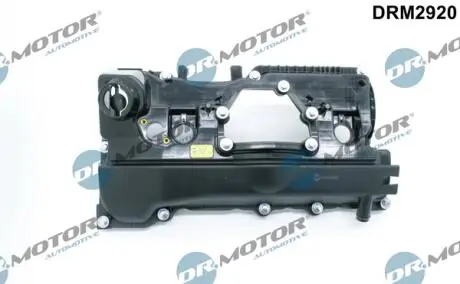 DRM2920 Кришка головки блоку циліндрів ДВЗ DR.MOTOR підбір по vin на Brocar