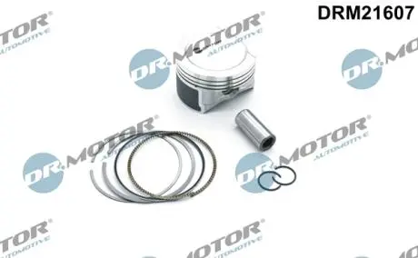 DRM21607 TŁOK VW 1,6 81,01 STD DR.MOTOR підбір по vin на Brocar