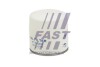 Фильтр масляный Fiat/Citroen/Peugeot 2.2HDI 14- FT38008