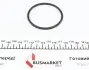 RWS1768 Прокладка коллектора впускного Renault Kangoo/Laguna II/Trafic 1.4-2.0 01- ROTWEISS підбір по vin на Brocar