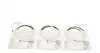 PRREN443841025SET Кільця поршневі Renault Kangoo 1.6 16V 01- (+0,25/79,75mm) (1.5x1.5x2.5) PARADOWSCY AMP підбір по vin на Brocar