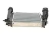 309078 Радіатор інтеркулера NRF 309078 NRF підбір по vin на Brocar
