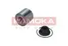 Подшипник ступицы (задней) Nissan Micra/Note 10- (25x55x48) 5600196