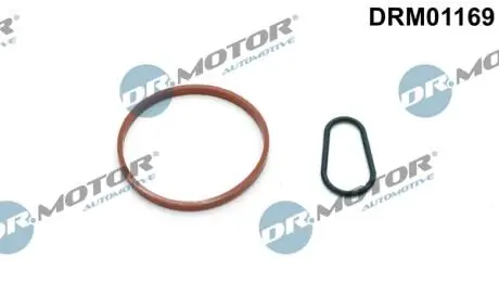 DRM01169 К-т прокладок вакуумного насосу DR.MOTOR підбір по vin на Brocar