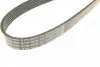 1987945980 Ремень генератора Audi/BMW/Chevrolet/MB/ Opel (6PK1870) BOSCH підбір по vin на Brocar