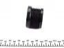 301046 Шкив генератора Renault Laguna II/Megane II 1.9 dCi 01- IJS GROUP підбір по vin на Brocar