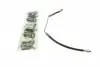 Шланг тормозной (задний) BMW X5 (E53) 3.0d/3.0i-4.8is 00-06 (R) M54/M57/M62/N62 C900 407B