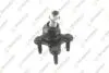 Кульова опора права Golf,Passat,Skoda Octavia,Seat 05- V-584