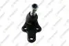 Шаровая опора нижняя (пр+лев) Ford Focus 03- ,C-Max d=21mm FO-464