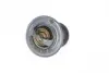 Термостат Nissan Micra/Citroen Saxo/Peugeot 106 1.5d 94-03 (89 °C) 725109