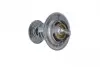 725109 Термостат Nissan Micra/Citroen Saxo/Peugeot 106 1.5d 94-03 (89 °C) NRF підбір по vin на Brocar