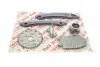 59829SET Комплект цепи ГРМ Renault Trafic 1.6 DCi 14- (цепь, натяжитель, шестерня) AIC підбір по vin на Brocar