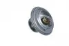 725086 Термостат BMW 5 (E34/E28)/3 (E30/E21) 2.0-3.5 77-95 (M10/M21) NRF підбір по vin на Brocar