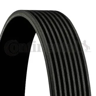 8PK1440 PASEK WIELOROWK. 8PK1438HD CONTITECH підбір по vin на Brocar