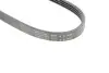 830SK4 Ремень генератора BMW 5 (E60) 2.5/3.0D 04-10 (M57) (4PK830) HUTCHINSON підбір по vin на Brocar