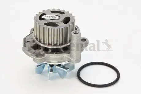 WP6041 Помпа води Audi A3-A6/VW Caddy/Golf IV/Passat/T5/Skoda Octavia 1.8T/2.0 03- (з прокладкою) CONTITECH підбір по vin на Brocar
