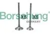Клапан (впуск/выпуск) Audi A4/A6/VW Golf V/VII 1.8TSI-4.2FSI 02- (к-кт) (OE VAG) B18634