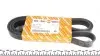 Ремінь генератора MB OM601/602 (+PS) (6PK1980) 906 1980