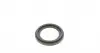 752395 Ремкомплект суппорта (заднего) Citroen Jumper/Peugeot Boxer 06- (d=52mm)(Brembo)(+1 поршен/направля) FRENKIT підбір по vin на Brocar