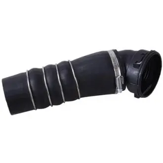 BF0422700318 PRZEWÓD POWIETRZA BAPMIC подбор по vin на Brocar