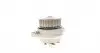 WP6020 Помпа води Seat Cordoba/Ibiza/Skoda Octavia/VW Caddy/Golf/Polo 1.4i/1.6i 95-09 (з прокладкою) CONTITECH підбір по vin на Brocar