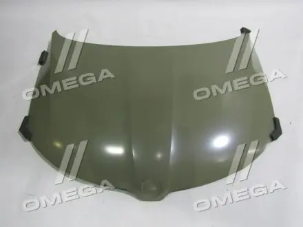 0451868280G Капот SK RAPID 12-19(TEMPEST) TEMPEST підбір по vin на Brocar