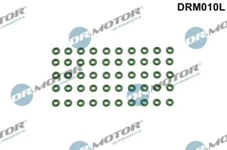DRM010L ZESTAW ORINGÓW PRZEWODÓW PRZELEWOWYCH VW/BMW/DB/RENAULT/OPEL /50 SZT./ DR.MOTOR підбір по vin на Brocar