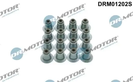 DRM01202S Комплект прокладок гумових DR.MOTOR підбір по vin на Brocar