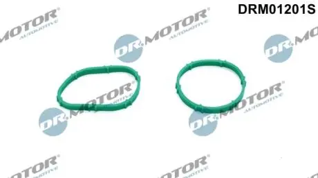 DRM01201S Комплект прокладок гумових DR.MOTOR підбір по vin на Brocar