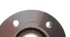 9246004K Подшипник ступицы (задней) VW Crafter 2.0TDI (FWD) 16- (+ABS) (161x46/120) (к-кт) GSP підбір по vin на Brocar