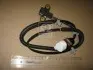 3931038400 Сенсор положення колінвала Hyundai Starex/H-1/Libero 01-/Kia Sorento 02-06 (вир-во Mobis) HYUNDAI / KIA підбір по vin на Brocar