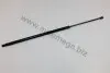 Амортизатор багажника Ford Tranzit 00-06, 06-14 100005810