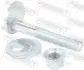 Болт развала с фигурной головкой 0529-002-KIT