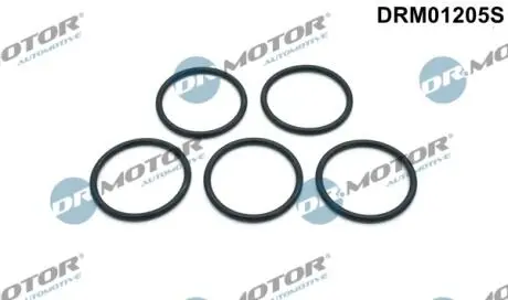 DRM01205S Прокладка помпи води, 5 шт DR.MOTOR підбір по vin на Brocar