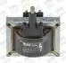 ZS316 CEWKA ZAPŁONOWA ZS 316 BorgWarner підбір по vin на Brocar