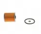 F026402521 Фильтр топливный Renault Megane/ Clio 1.9D 91-03 BOSCH підбір по vin на Brocar
