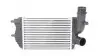 Интеркулер Jumper,Fiat Ducato,Peugeot 1.9TDI/2.8HDI 94- 343500