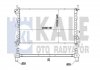 Радиатор охлаждения Focus 1.8DI/TDCi 99- 349700
