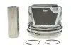 130050001600 Поршень VW LT/T4 2.5TDI (81.01mm/STD) (3-4-5 цилиндр) (прямой шатун) = 7150160000 NPR підбір по vin на Brocar